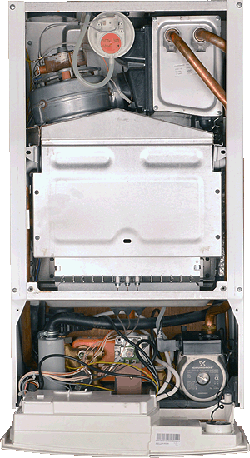 ar microgenus 24 mffi he inner.gif